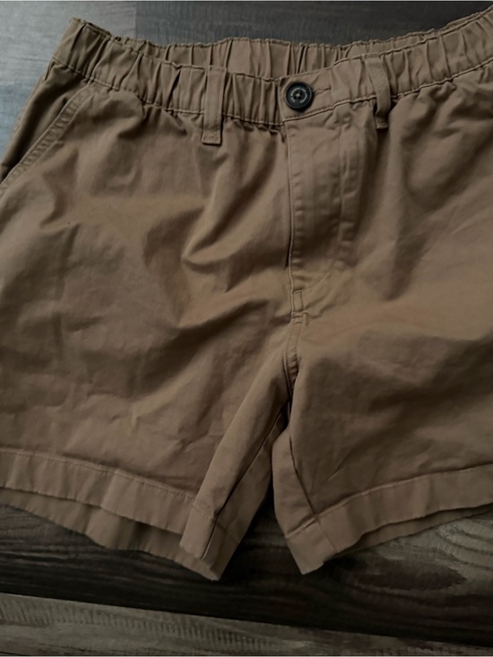 chubbies Other - chubbies Men's Taupe Elastic-Waist Flat Front Shorts